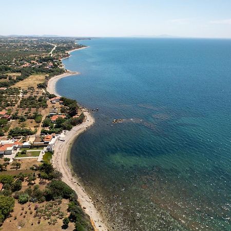 Papi'S Free Parking Villa Александроуполис Экстерьер фото